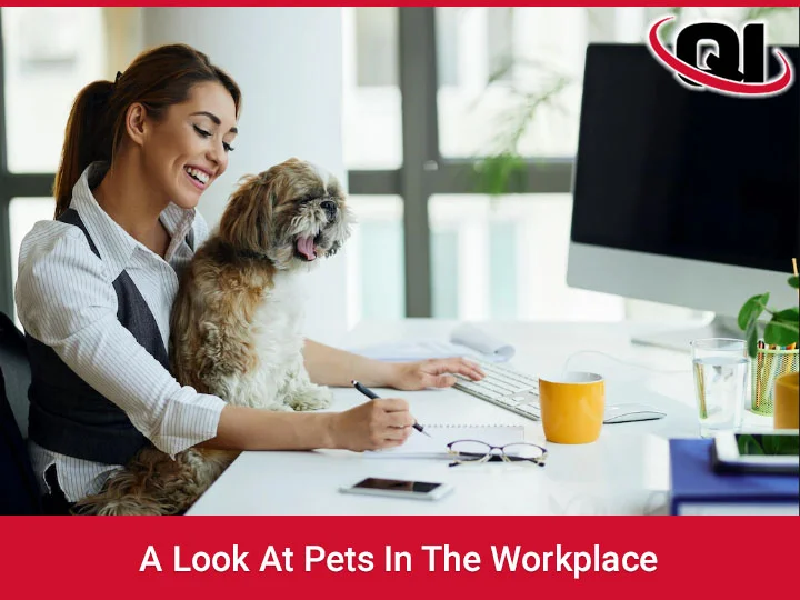 pets in your office space
